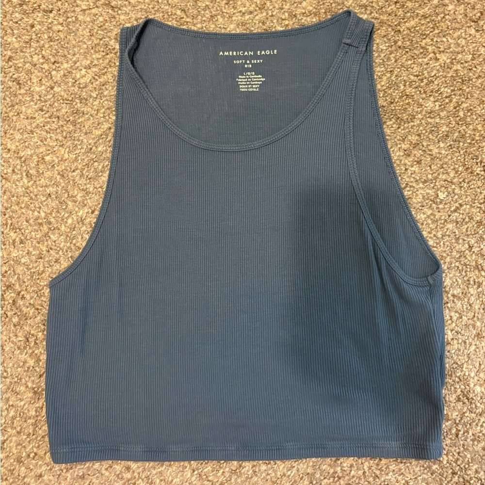American Eagle Soft & Sexy Ribbed Top in Blue